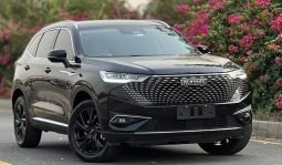 
										Haval H6 HEV 2024 full									