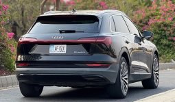 
										Audi Etron ( 50 Quattro) 2020 full									