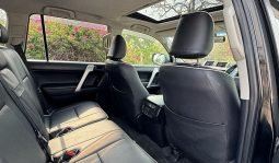 
										Toyota Land Cruiser Prado TX 2013 full									