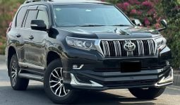 
										Toyota Land Cruiser Prado TX 2013 full									