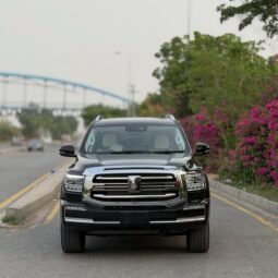 
										GWM TANK-500 HEV full									
