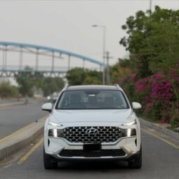 
										Hyundai Santa Fe Awd Signature full									