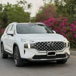 
										Hyundai Santa Fe Awd Signature full									