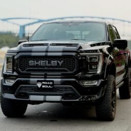 
										Ford F150 Shelby full									