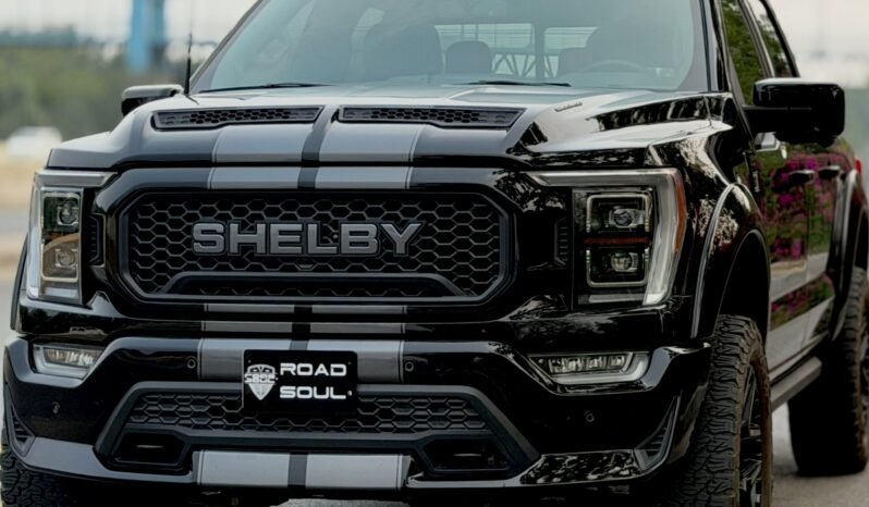 
								Ford F150 Shelby full									