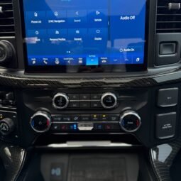 
										Ford F150 Shelby full									