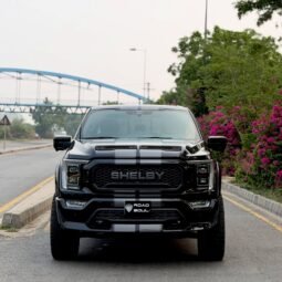 
										Ford F150 Shelby full									