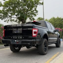 
										Ford F150 Shelby full									