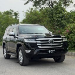 Land Cruiser AX
